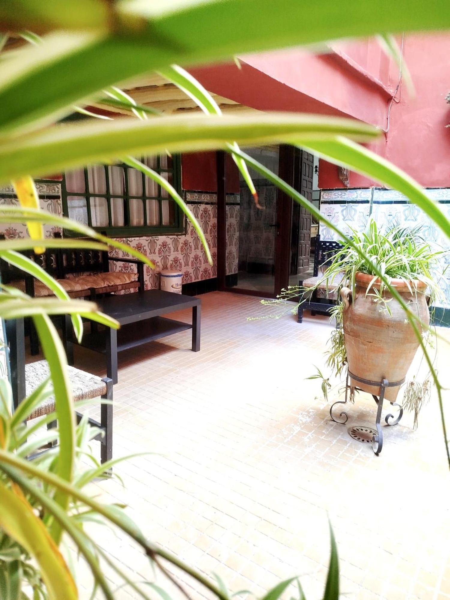 Casa Palacio Domus Astigi (Adults Only) Эсиха Экстерьер фото
